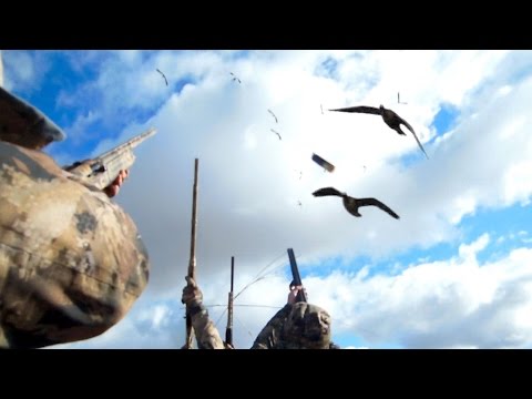 Видео: Goose Hunting, the best. Охота на гусей, весна 2016. Лучшее
