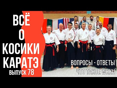 Видео: Выпуск 78. Всё о Косики каратэ. Что такое WKKU.