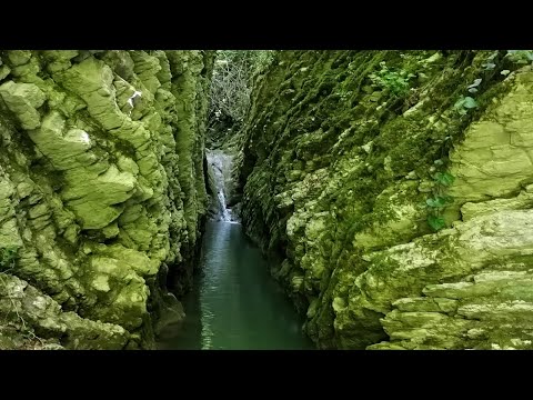 Видео: Крабовое ущелье. Лазаревское