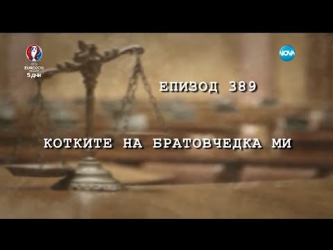 Видео: Съдебен спор - Епизод 389 - Котките на братовчедка ми (05.06.2016)