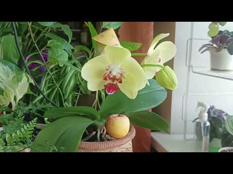 Видео: Для начала. Обзорная половина.