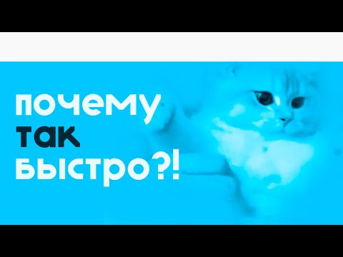 Видео: 5 советов, которые ускорят вашу работу в Figma!