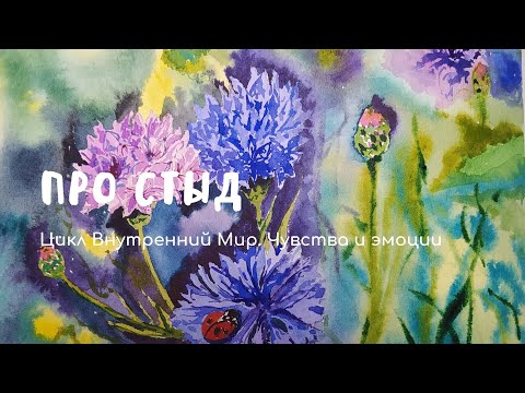 Видео: Про стыд