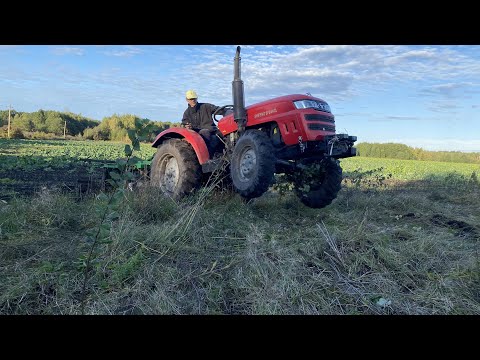 Видео: Гребе, козлить але дискує. Shifeng 244 + Bomet 1.5