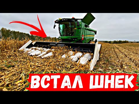 Видео: УБИРАЕМ МЁРТВУЮ КУКУРУЗУ! Комбайн ЗАГЛОХ.