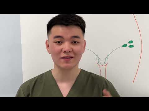 Видео: Аяқтан лимфа ағуы|Аяқтың лимфа тамырлары|Аяқтың лимфа түйіндері