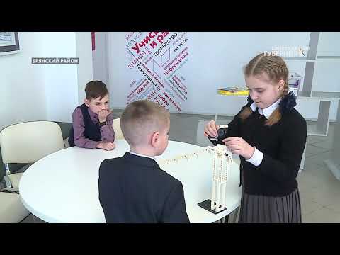 Видео: «Край Брянский». Брянский район, деревня Добрунь