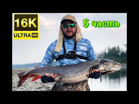 Видео: 🦟 5 ЧАСТЬ ⛺️ Долгожданный ТРОФЕЙ ❤️💙💚💙 Республика САХА (Якутия) 🦟 ⛺️🔥🥶🎣🚤