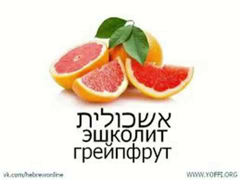 Видео: Аудио Иврит для продвинутых Урок № 9 № 10