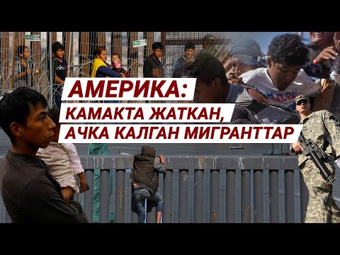 Видео: Америка: мыйзамсыз мигранттардын азаптуу жолу