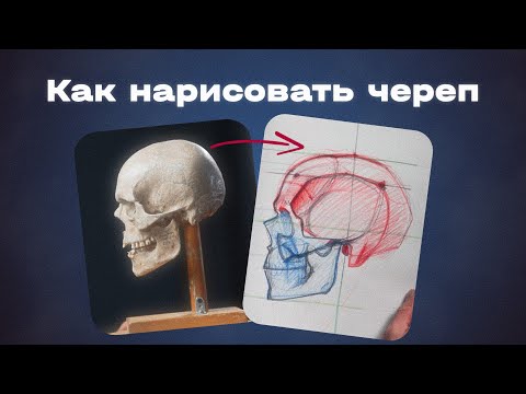 Видео: Как правильно рисовать череп