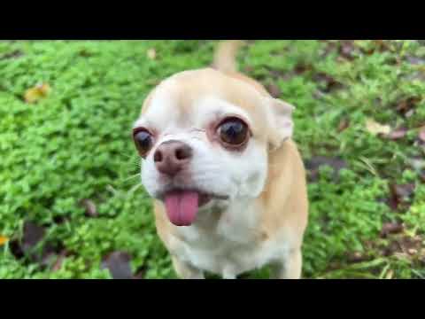 Видео: ПРОСТО ОБЫЧНЫЙ ДЕНЬ 🤩