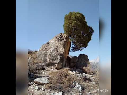 Видео: Табиати зебои деҳаи Анзоб.