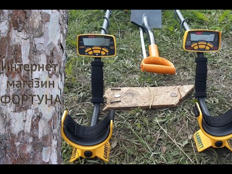 Видео: Сравнение Garrett Ace 400і с Euro Ace, тест на монеты в грунте