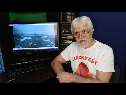 Видео: Стурисома Панамская. (Стартовый корм).