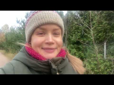 Видео: В помощь тем, кто разбил ртутный градусник! Важное
