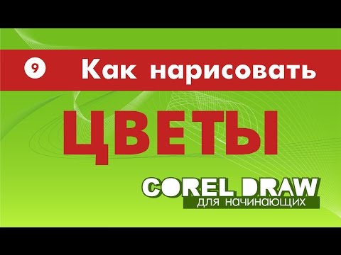 Видео: РИСУЕМ В КОРЕЛЕ СТИЛИЗОВАННЫЕ ЦВЕТЫ. ПОВТОРЕНИЕ МАТЕРИАЛА. Corel DRAW. Уроки корел для начинающих