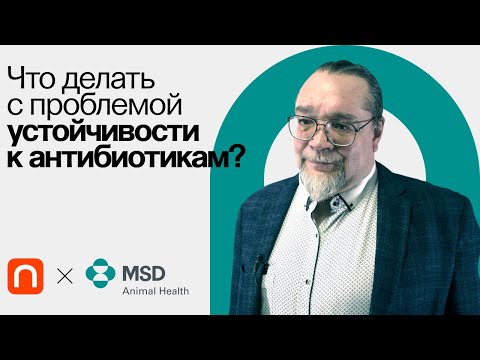 Видео: Перспективы борьбы с резистентностью антибиотиков / Константин Мирошников на ПостНауке