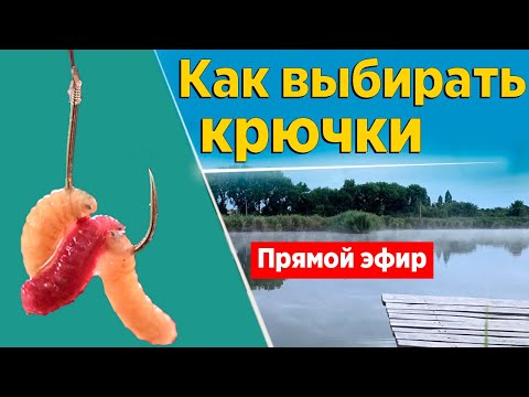 Видео: Как выбирать крючки для фидерной рыбалки