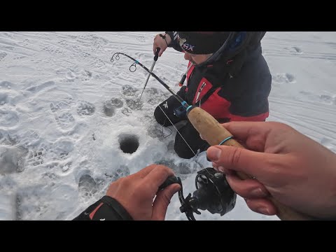 Видео: ОГРОМНЫЙ МОНСТР ЗАСТРЯЛ В ЛУНКЕ! ЦЕЛЫЙ ЧАС ЕГО ВЫДИРАЛИ ОТТУДА