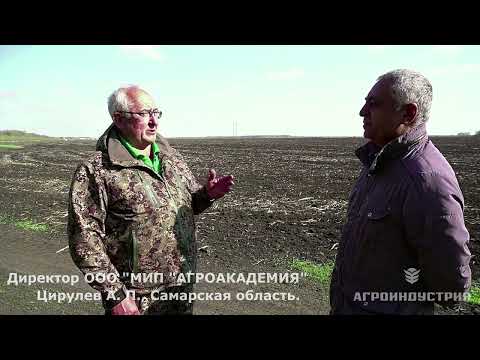 Видео: отзыв директора ООО "МП "Агроакадемия" Цирулева А.П.
