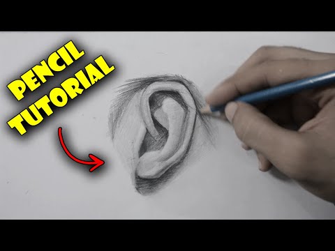Видео: Как нарисовать ухо карандашами / шаг за шагом нарисовать ухо для начинающих / учебник по карандашам