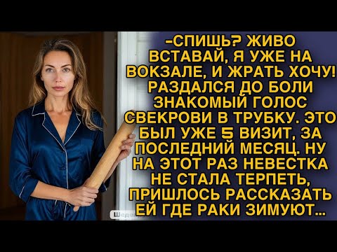 Видео: Это был уже 5 визит свекрови за этот месяц... Невестка не стала терпеть...