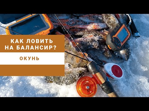 Видео: Как ловить на балансир? Окунь.