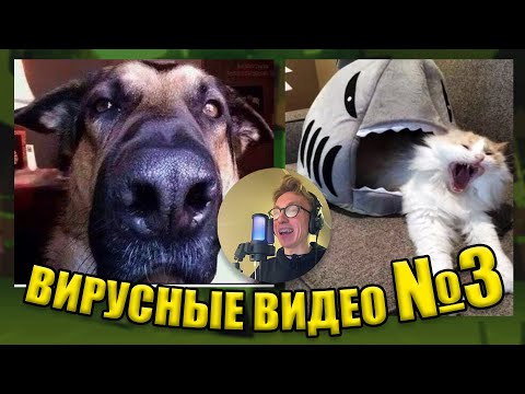 Видео: ВИРУСНЫЕ ВИДЕО / Подборка смешные моменты №3