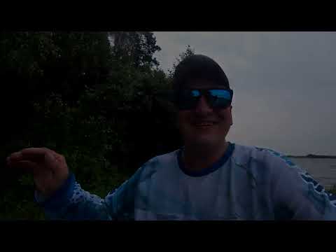 Видео: Рыбалка. Палатка. Классная погода.