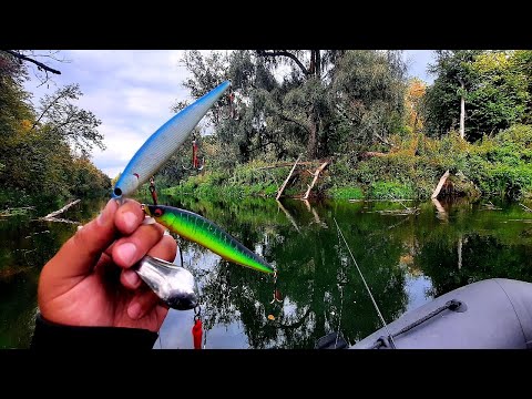 Видео: Жор щуки в сентябре продолжается. Дорогие Японские воблеры против дешёвой советской колебалки.