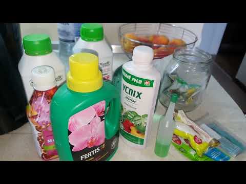 Видео: НОВОСТИ ОТ "ХОТ КИССА" 🥰ЧЕМ УГОСТИТЬ ОРХОМАЛЫШНЮ 🥳