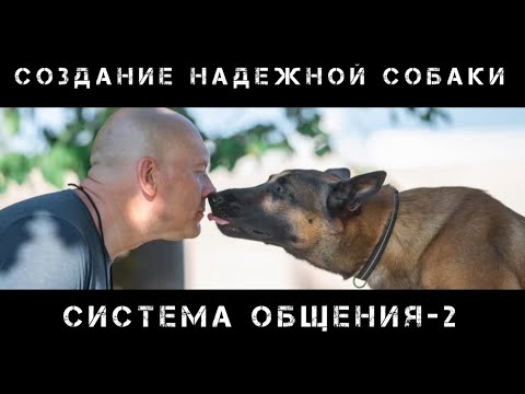 Видео: Система общения человека и собаки. Часть 2.