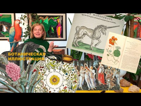Видео: БОТАНИЧЕСКАЯ ИЛЛЮСТРАЦИЯ.  Сарнацкая Ирина