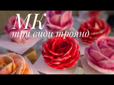 Видео: Зефір . Три види троянд