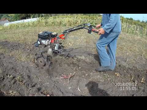 Видео: Копка картофеля мотоблоком Угра НМБ 1Н 2018 Часть 2