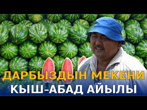 Видео: ДАРБЫЗДЫН МЕКЕНИ КЫШ-АБАД АЙЫЛЫ//МЕНИН АЙЫЛЫМ