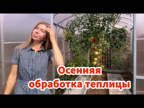 Видео: Чем обрабатываю теплицу осенью. Как избавляюсь от вредителей и болезней в теплице