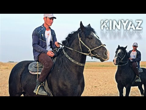 Видео: КИНЯЗ ОТ СОТИЛАДИ..170.см 5 ёш