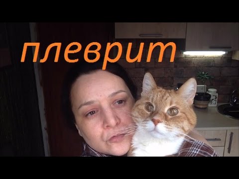 Видео: Плеврит у кота лечение/Жидкость в лёгких рентген/