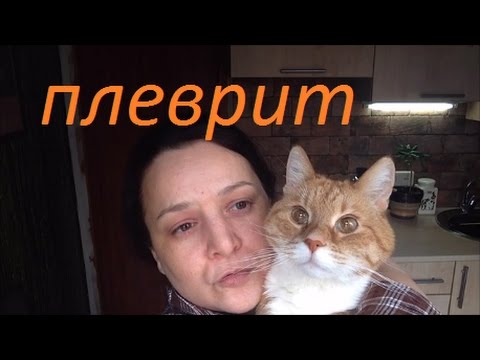 Видео: Плеврит у кота лечение/Жидкость в лёгких рентген/