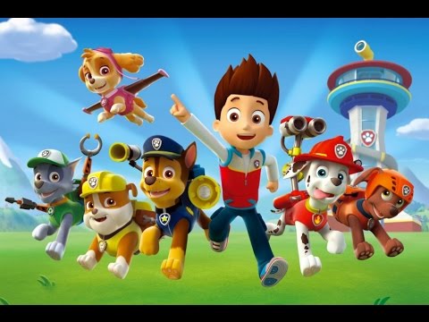 Видео: Эксклюзивная программа от Лаборатории праздника в Тольятти