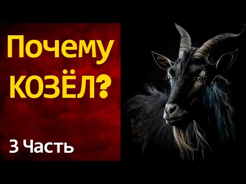 Видео: ПОЧЕМУ КОЗЕЛ? 3 часть г.Казань