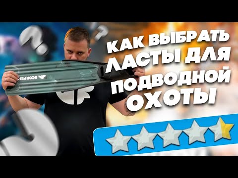 Видео: Как выбрать ласты для подводной охоты?