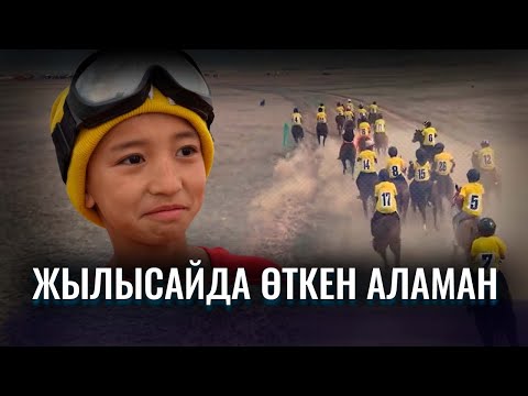 Видео: Жылысайда өткен аламан