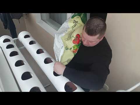 Видео: Способ выращивания клубники Часть II  Как правильно подготовить грунт для посадки саженцев.