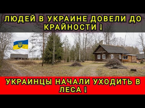Видео:  ЛУЧШЕ  ЖИТЬ С ЖИВОТНЫМИ ЧЕМ С ЛЮДЬМИ ❗ 