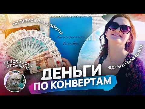 Видео: РАСПРЕДЕЛЕНИЕ ДЕНЕГ: снова увольнение, спасение кота и истории