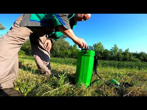 Видео: Підживлення картоплі по листку. Feeding potatoes on a leaf.