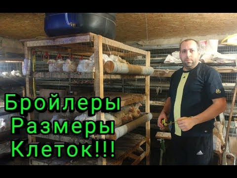 Видео: Бройлеры Размеры Клеток Как Самому Сделать Клетку для Бройлеров